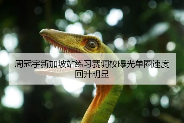 周冠宇新加坡站练习赛调校曝光单圈速度回升明显 | QiusuSports